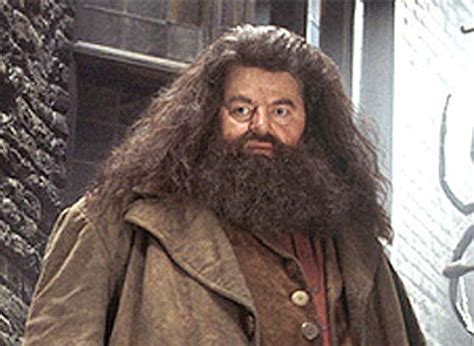 hagrid rubeus|rubeus hagrid death.